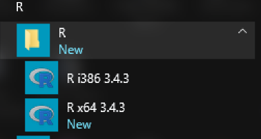 R version